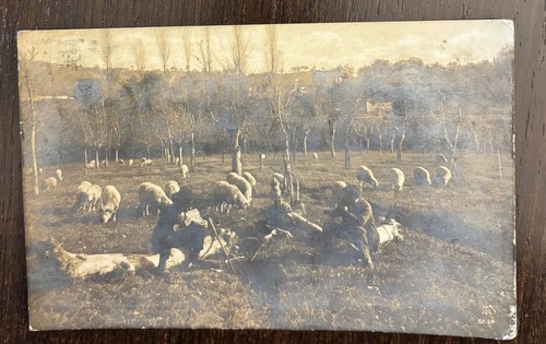 Old photo postcard nicastro - old,